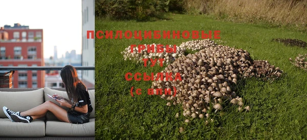 соль курить ск Покров